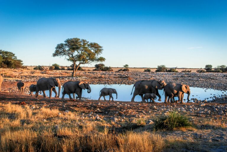 Les Plus Beaux Pays Du Monde Notre Classement En Photos