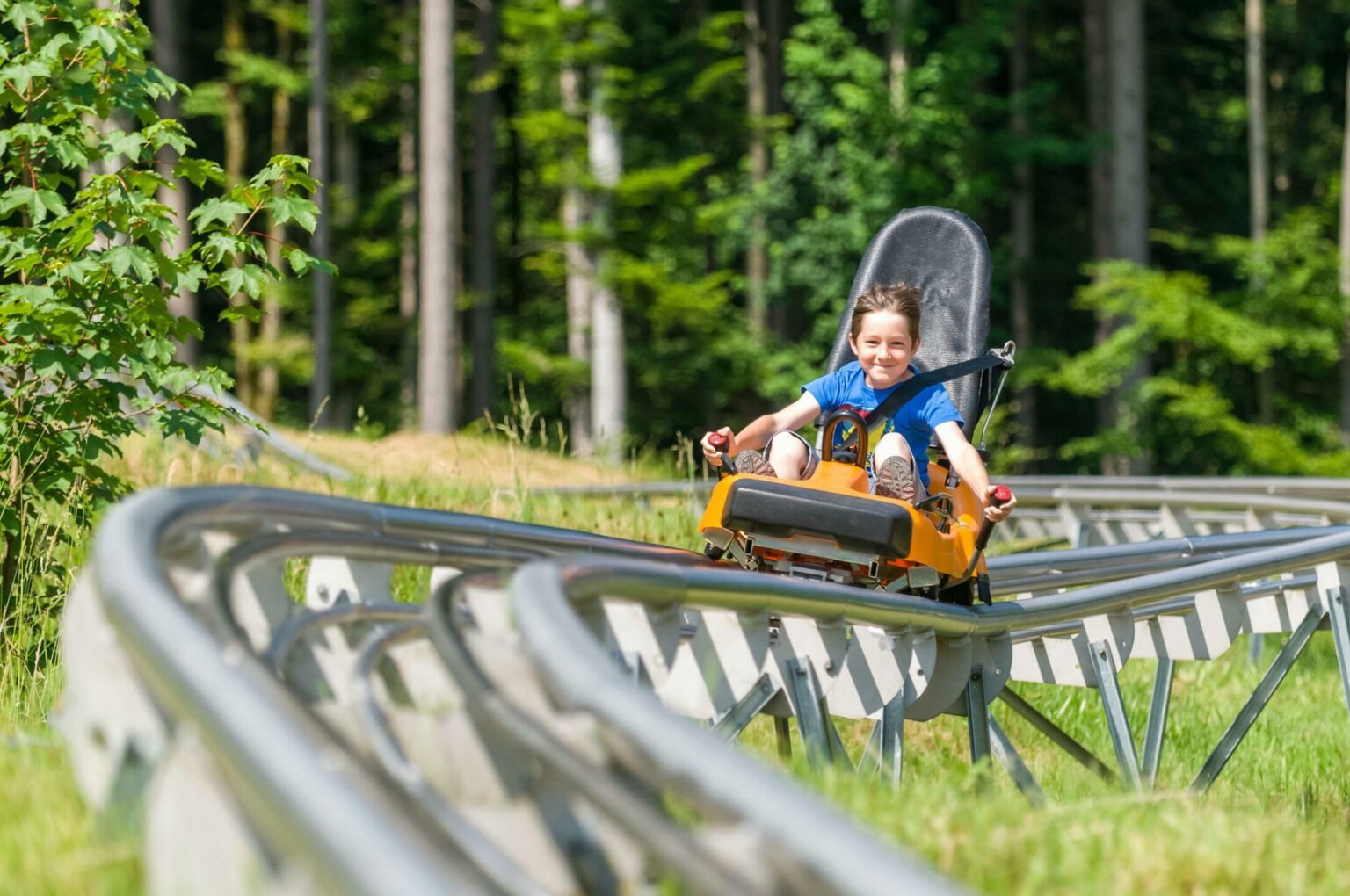 Activit S Faire Dans Le Parc Naturel Du Haut Jura