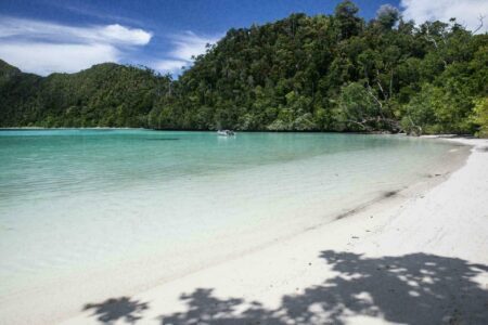 Papouasie-Nouvelle-Guinée : un pays plein de surprises