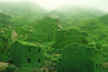 Ce village chinois abandonné a été englouti par la végétation