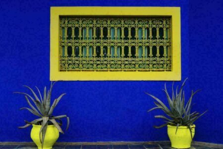 Marrakech : 10 photos envoûtantes du jardin Majorelle