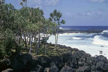 5 activités extrêmes pour profiter d’un voyage à la Réunion