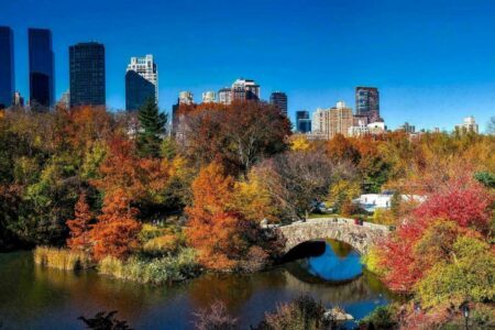 Visiter Central Park : la nature au cœur de New York