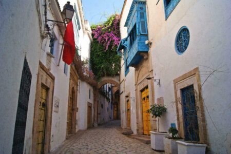 Visiter Tunis : infos et conseils pour votre séjour