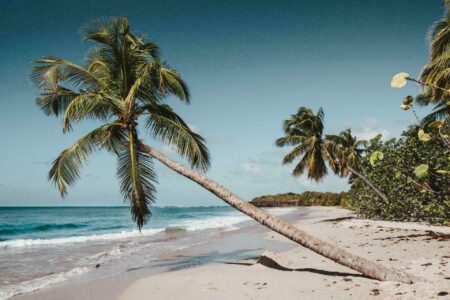 Martinique : L’essentiel avant de partir visiter l’île