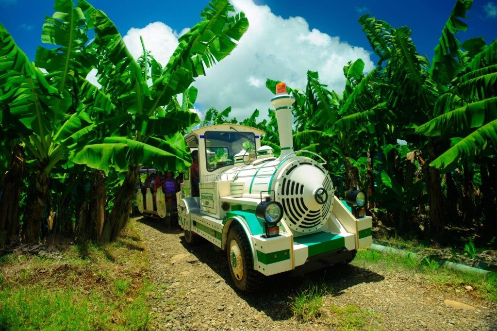 Martinique visiter exploitation bananière de Belfort