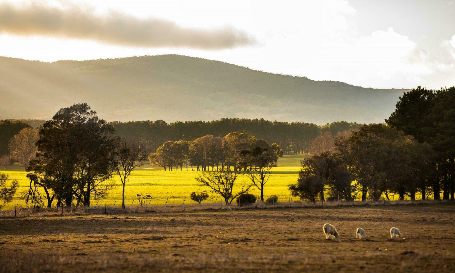 Les 6 Plus Beaux Endroits Où Voir La Nature En Australie 8389