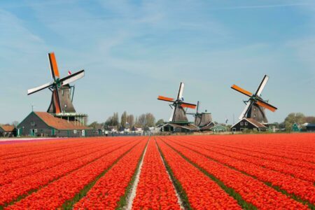 Que voir aux Pays-Bas ? 15 visites à faire absolument !