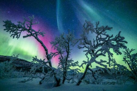 Découvrez la Laponie en hiver : ses fabuleux paysages et ses aurores boréales