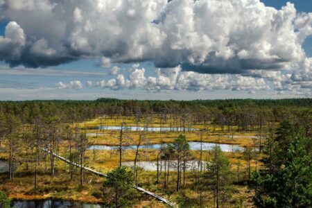 Découvrez les plus beaux paysages d’Estonie en photos !