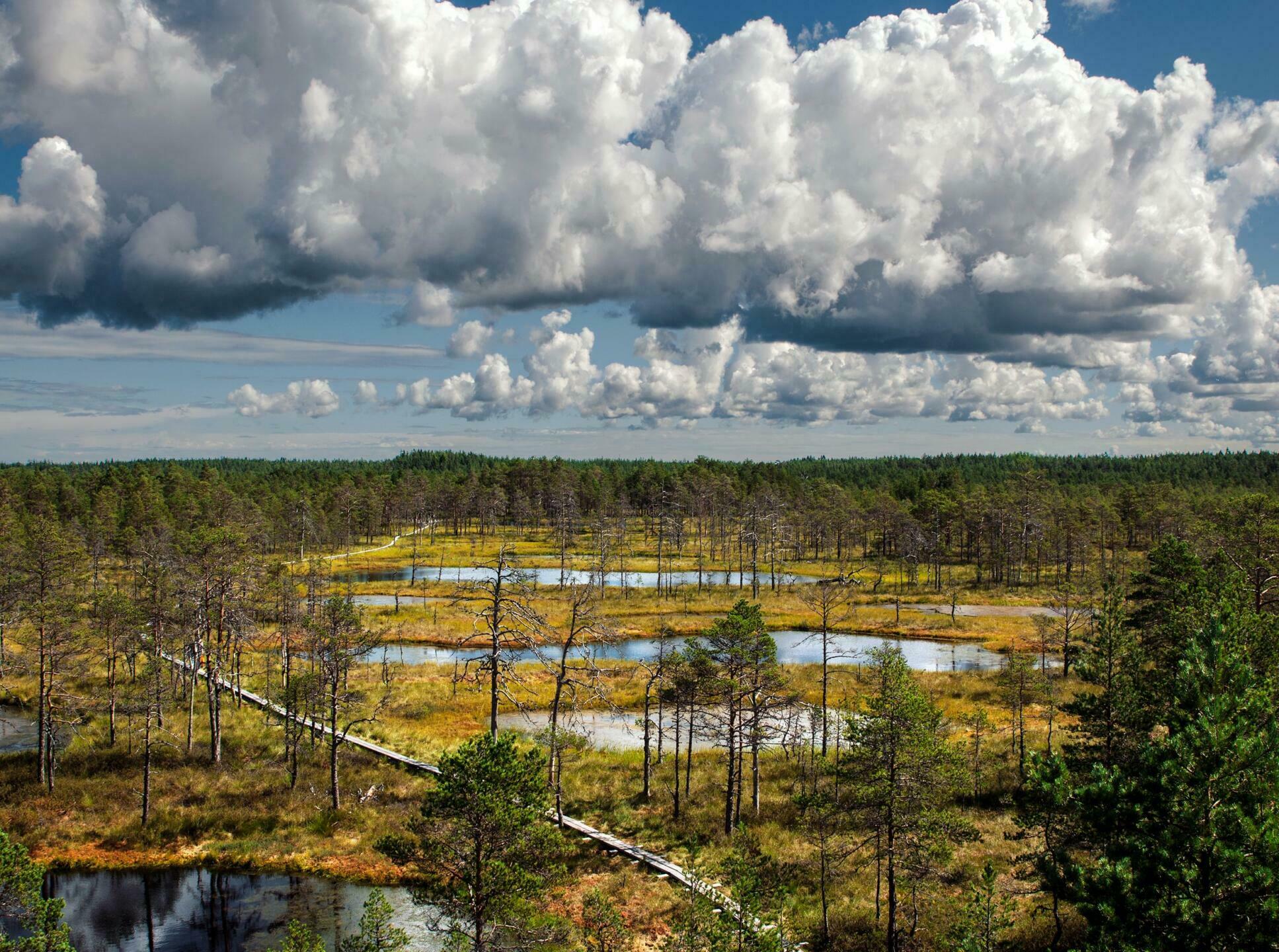paysages d'Estonie