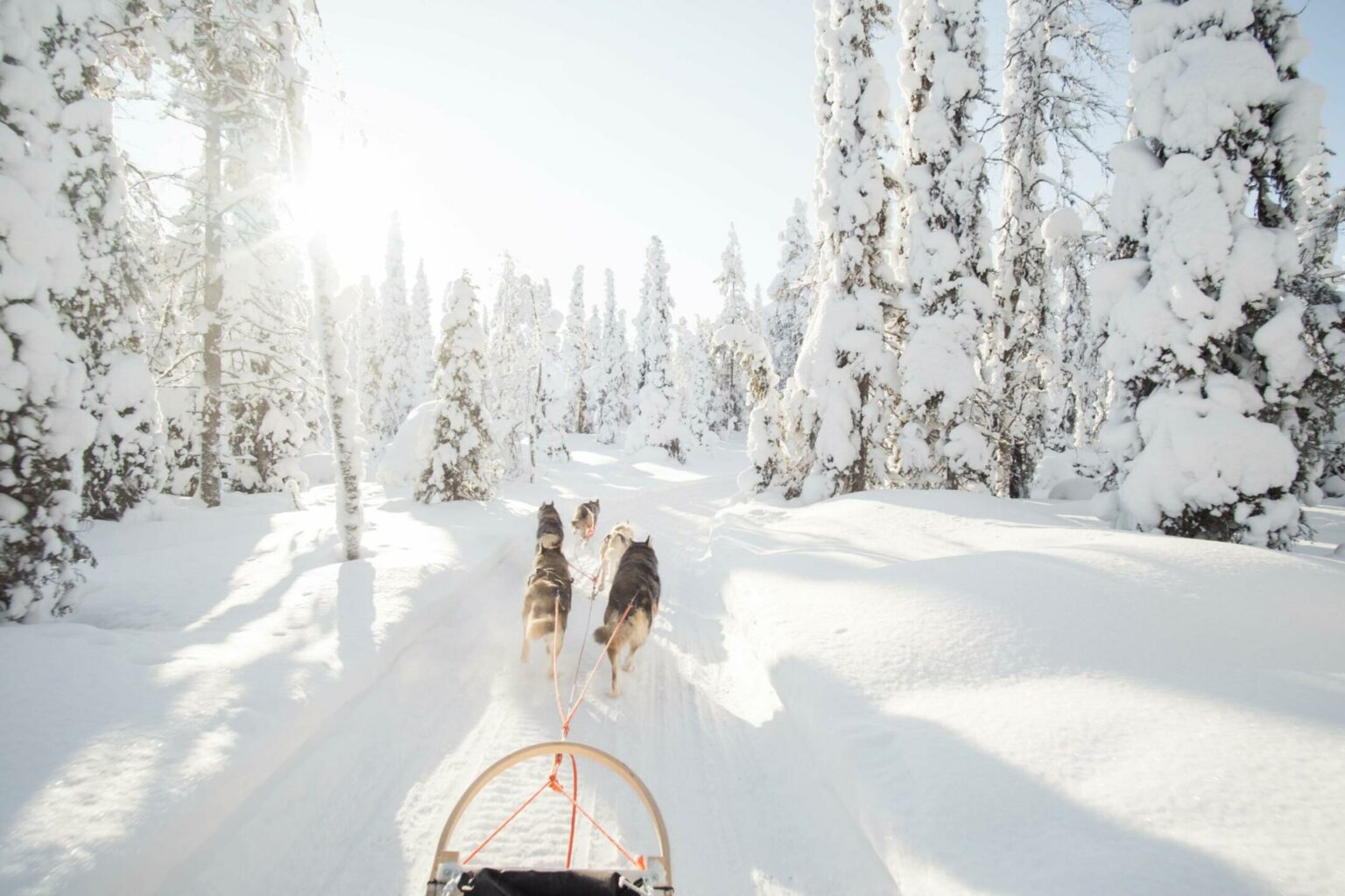 voyage en finlande hiver