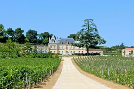 Tourisme et vin : 4 façons de découvrir nos vignobles avec l’œnotourisme