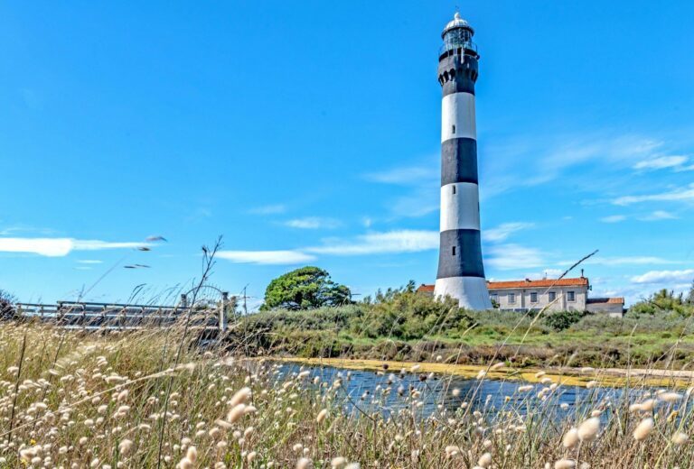 Que Faire En Camargue Voici Nos Id Es De Visites