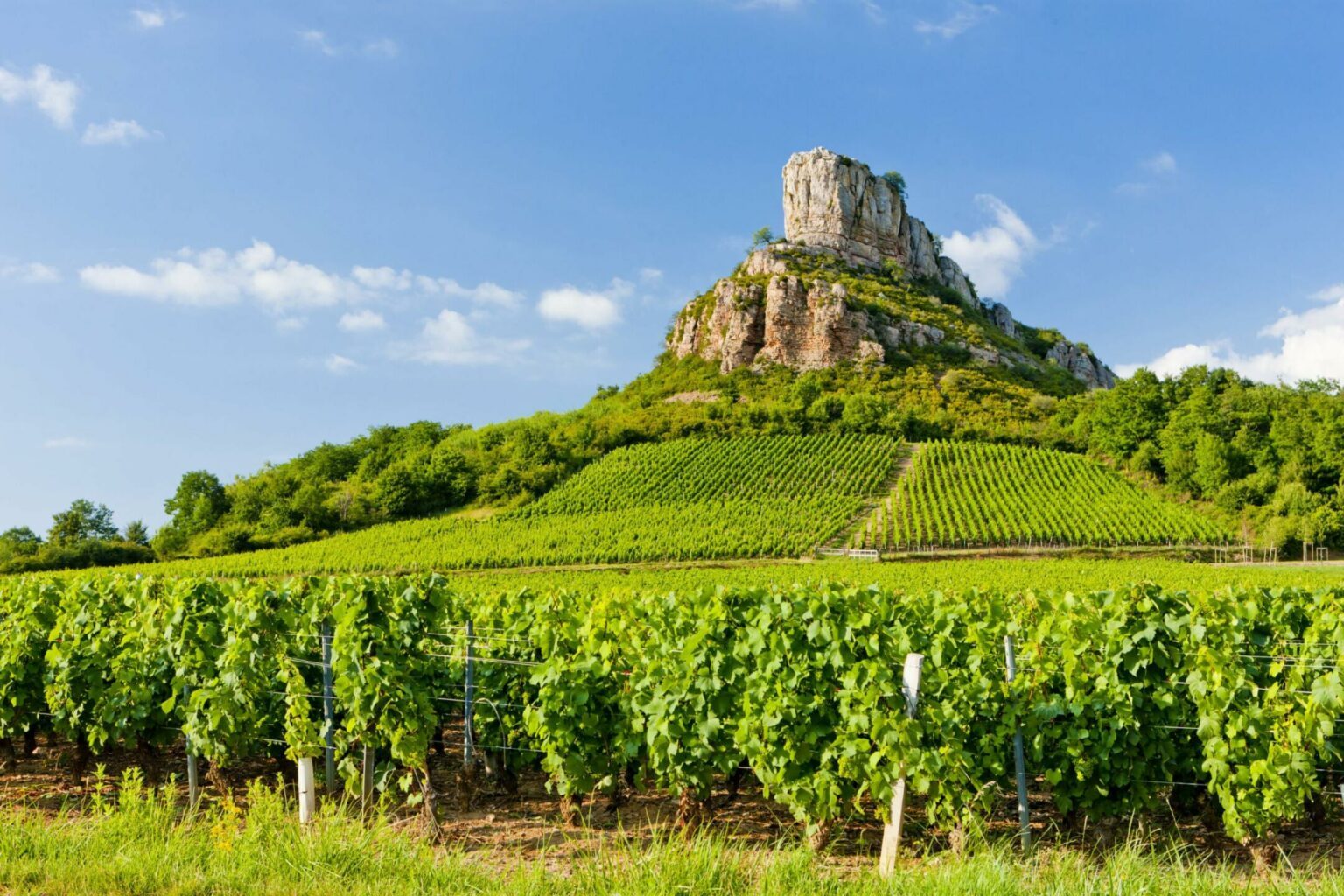 14 Choses à Faire En Bourgogne Absolument Pendant Votre Séjour