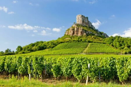 14 choses à faire en Bourgogne absolument pendant votre séjour