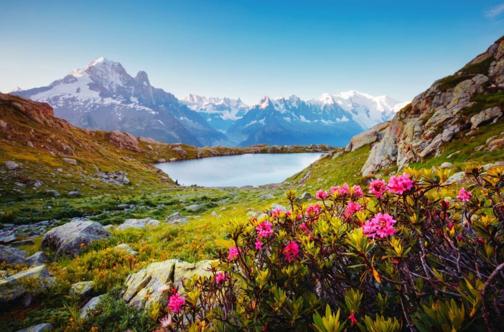 Vue sur le Mont Blanc