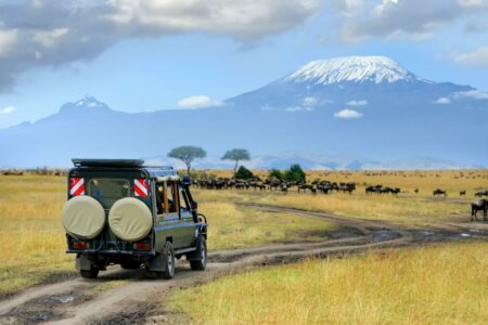 Que peut-on voir lors d’un safari en Tanzanie ?