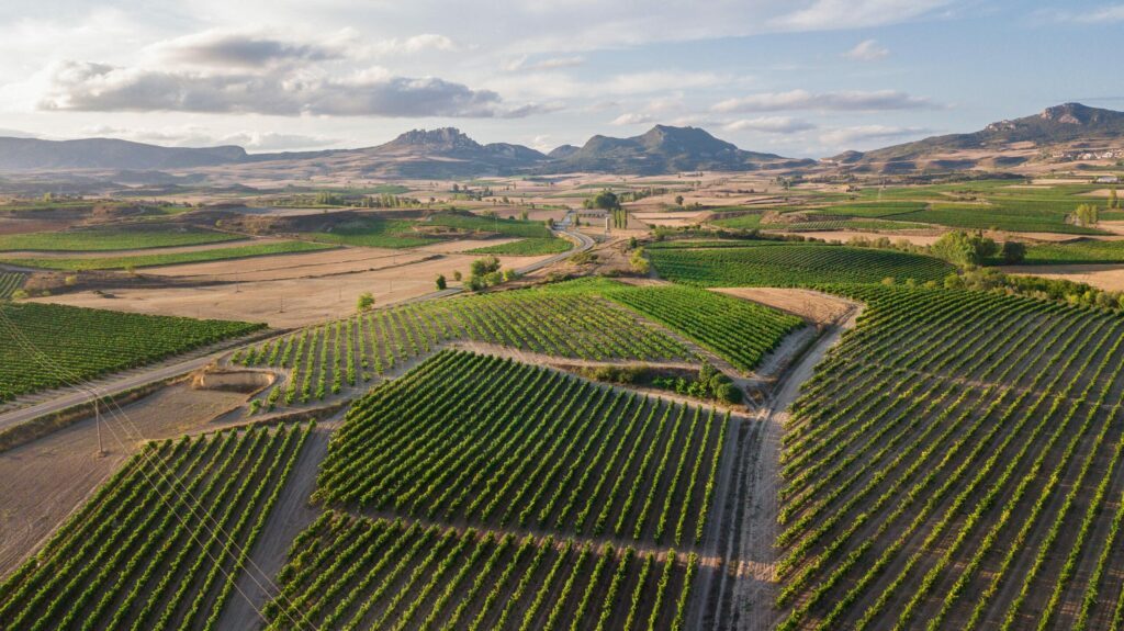 Parcourir la région de la Rioja