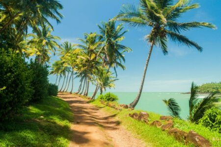 Road trip en Guyane : 10 étapes pour itinéraire parfait !