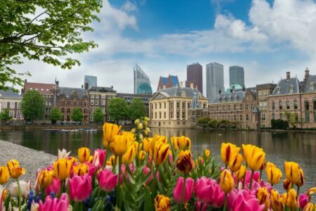 Que voir et que faire à La Haye ? Les visites incontournables