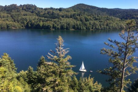 14 lacs des Vosges à découvrir au cœur de la nature !