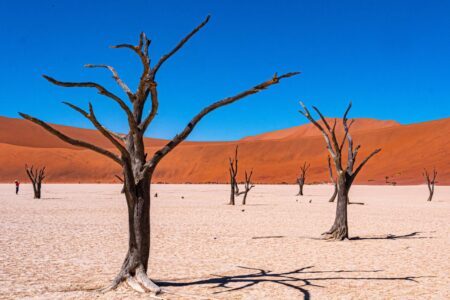 28 superbes clichés des paysages de Namibie à admirer !