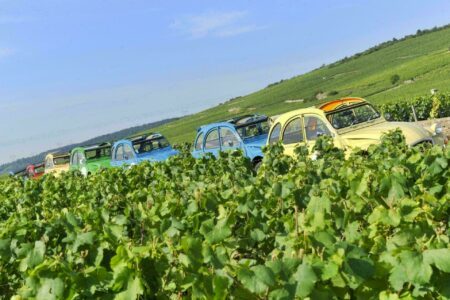 Routes des vins de Bourgogne : 6 itinéraires à parcourir !