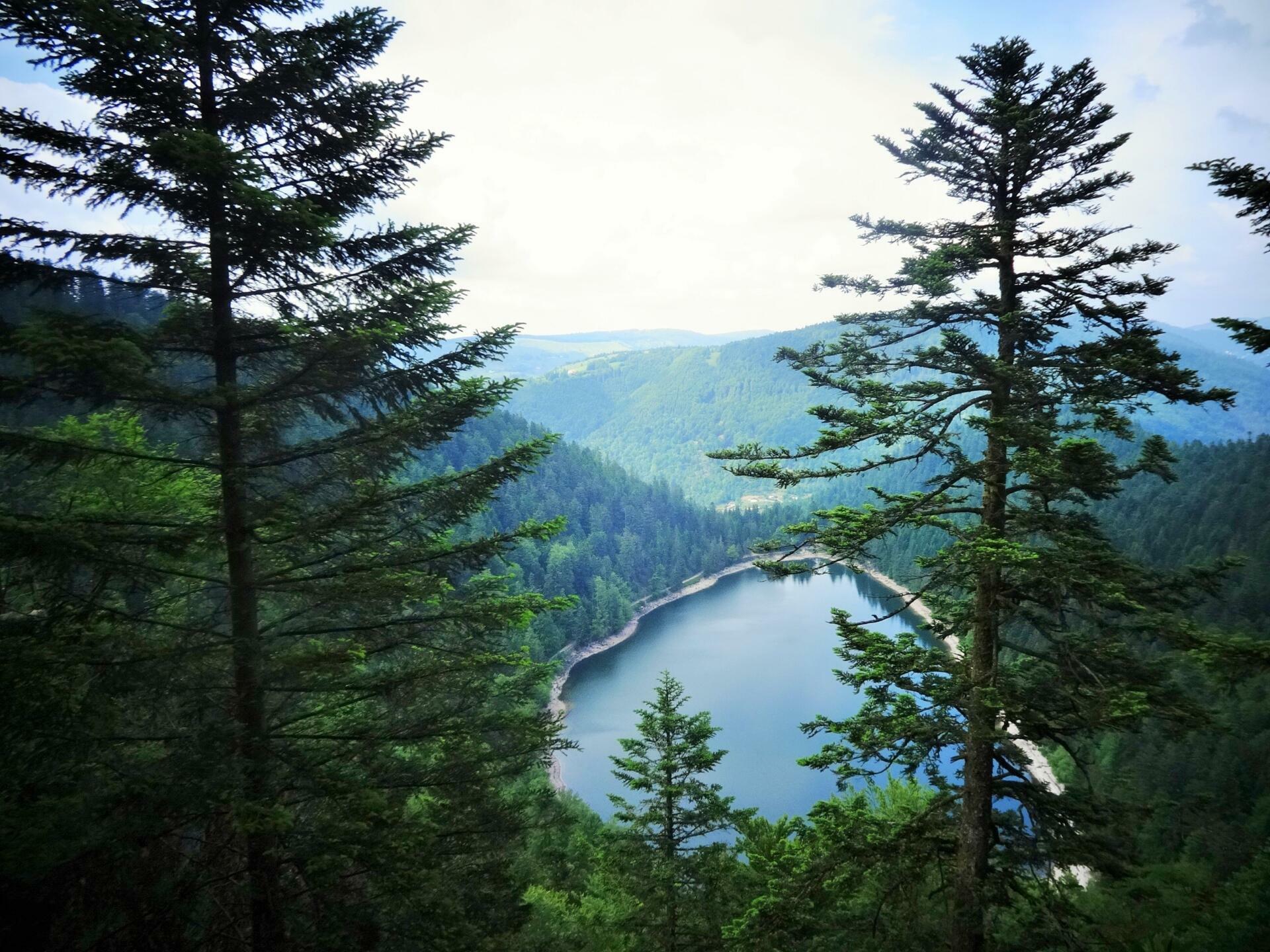 14 Lacs Des Vosges à Découvrir Au Cœur De La Nature 1682