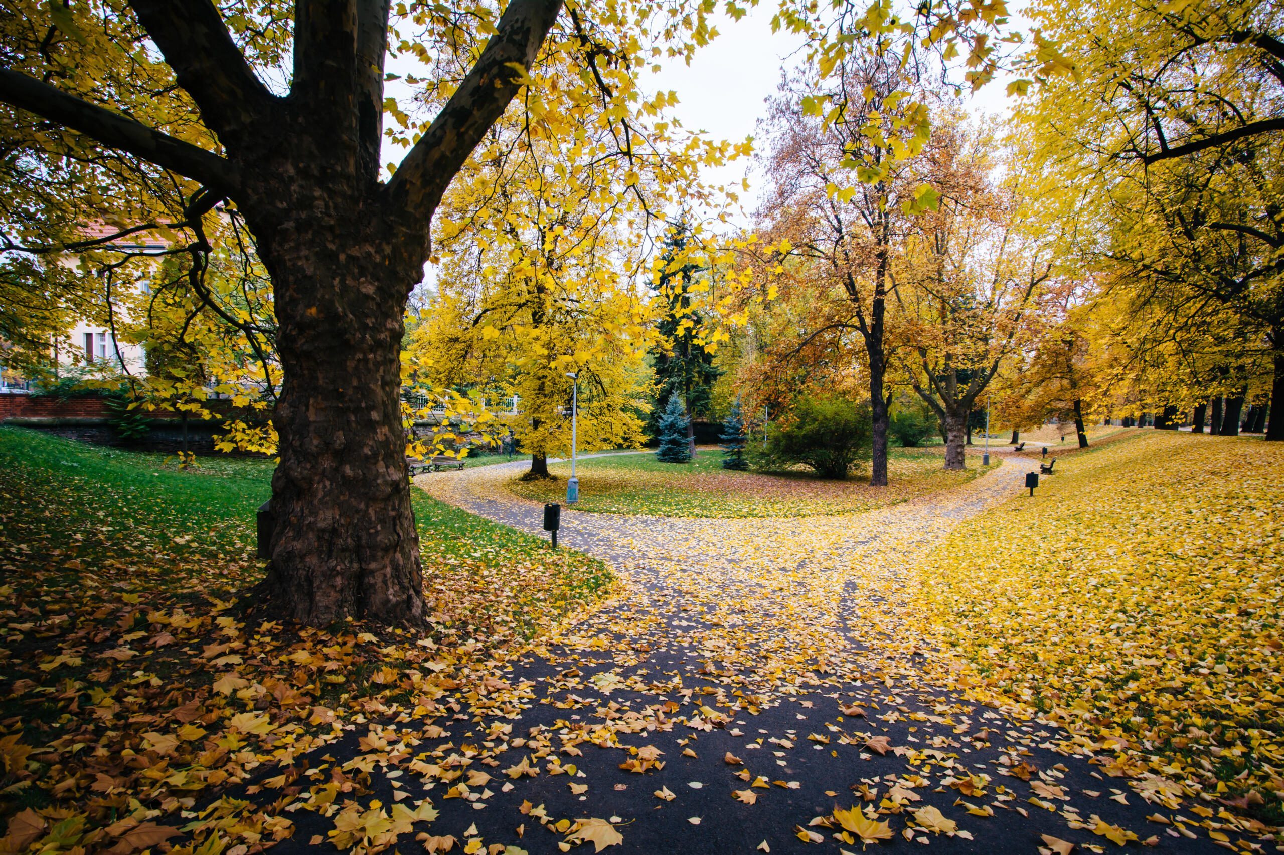 Le parc Letna à Prague dans les paysages d'automne