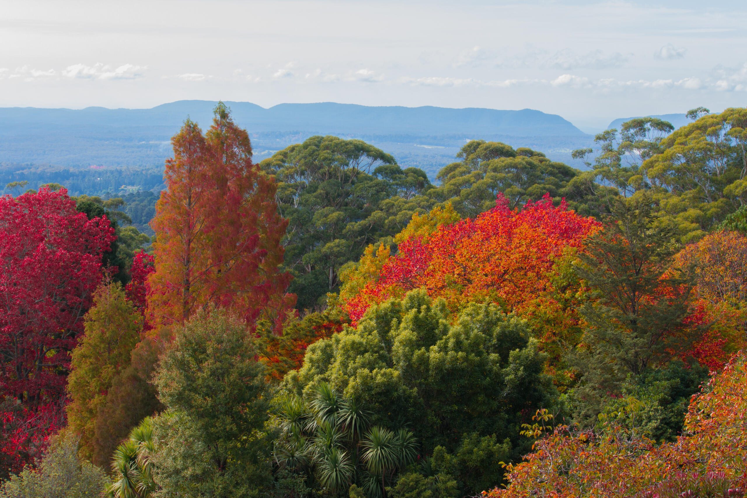 Les Blue Mountains en automne