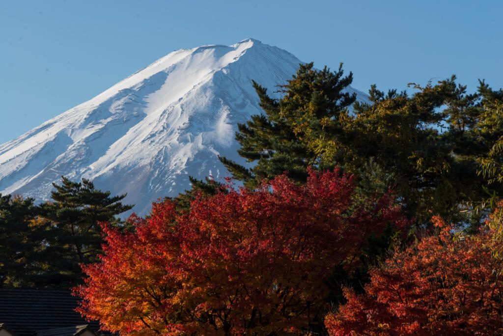 Couleurs d'automne au pied du mont Fuji