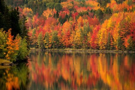 20 paysages d’automne qui vont vous donner envie de voyager !