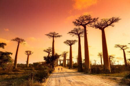 Visiter Madagascar : votre guide de voyage avant de partir
