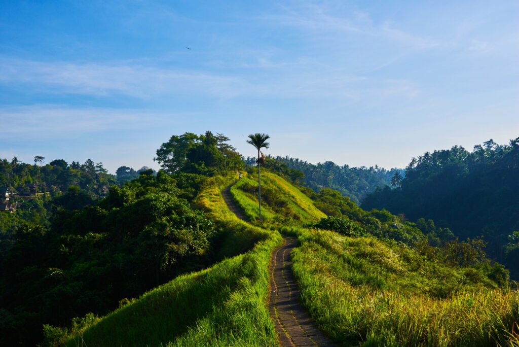 Pathway on the ridge of Campuhan hill in Ubud, Bali, Indonesia. Good for trekking and hiking. Scenic green valley with stone footpath among bright colorful meadows with green grass on the hillside.