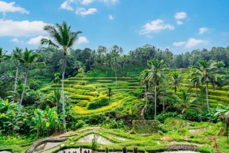 Voici 25 paysages de Bali à découvrir en images !