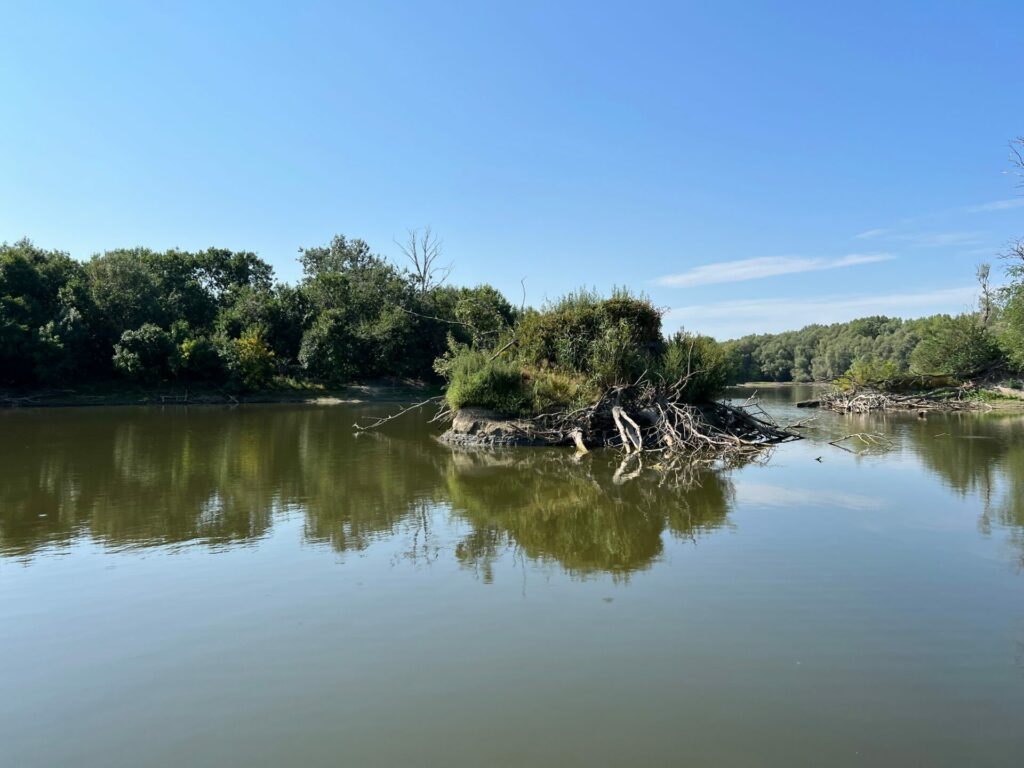 Lake Veliki Sakadas and floodplain forests, Kopacki rit Nature Park - Kopacevo, Croatia (Jezero Veliki Sakadaš i poplavne šume, Park prirode Kopački rit - Kopačevo, Hrvatska)