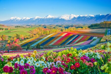 Les 28 plus beaux paysages fleuris autour du monde !