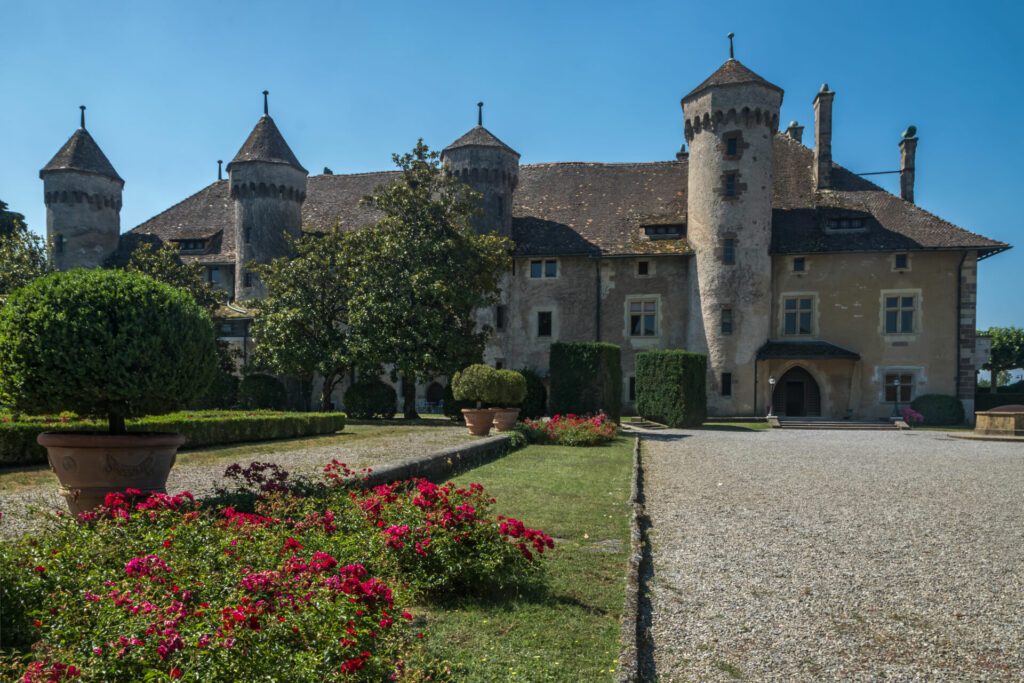 rosiers dans les jardins du Château de Ripaille à Thonon les Bains en Haute Savoie , au bord du lac Léman