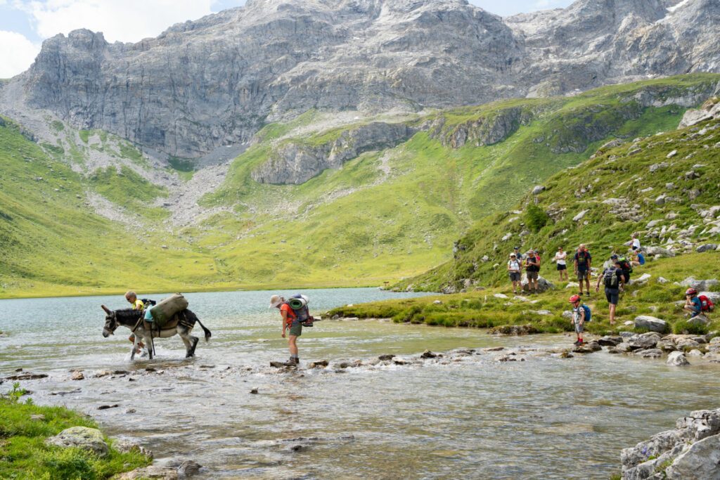 traversée du lac de La Plagne avec les ânes , parc de la Vanoise, Alpes, France