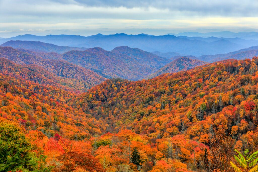 Autumn colors in Great Smoky Mountains National Park along the North Carolina-Tennessee border