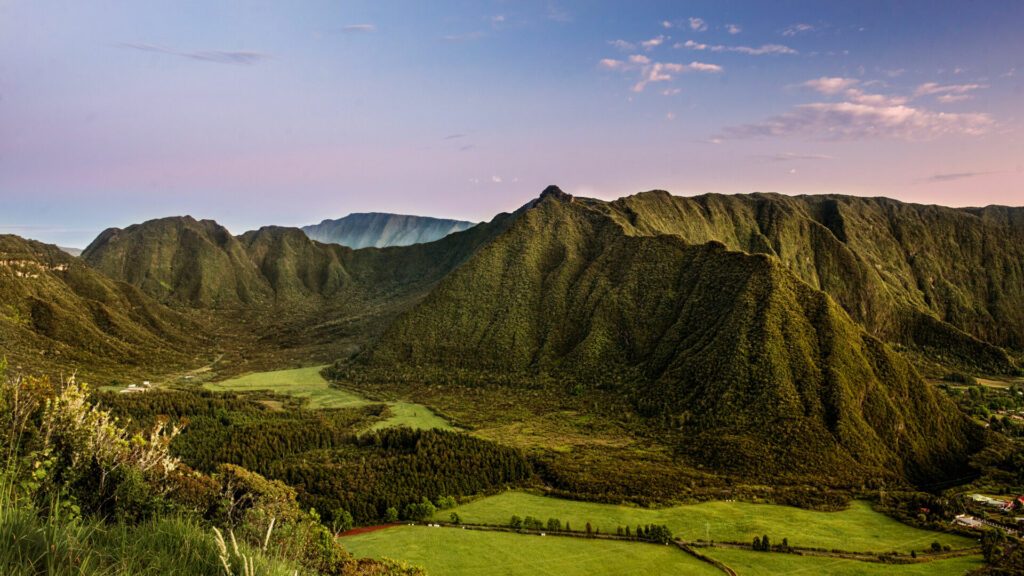 Plaine des palmiste ,la réunion