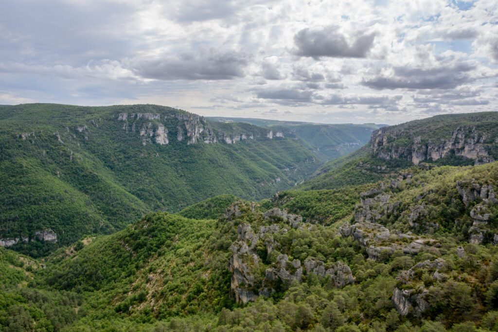 Les Gorges de la Dourbie alentours de Millau