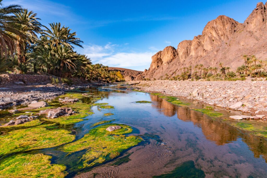 L’oasis de Fint - paysage du Maroc