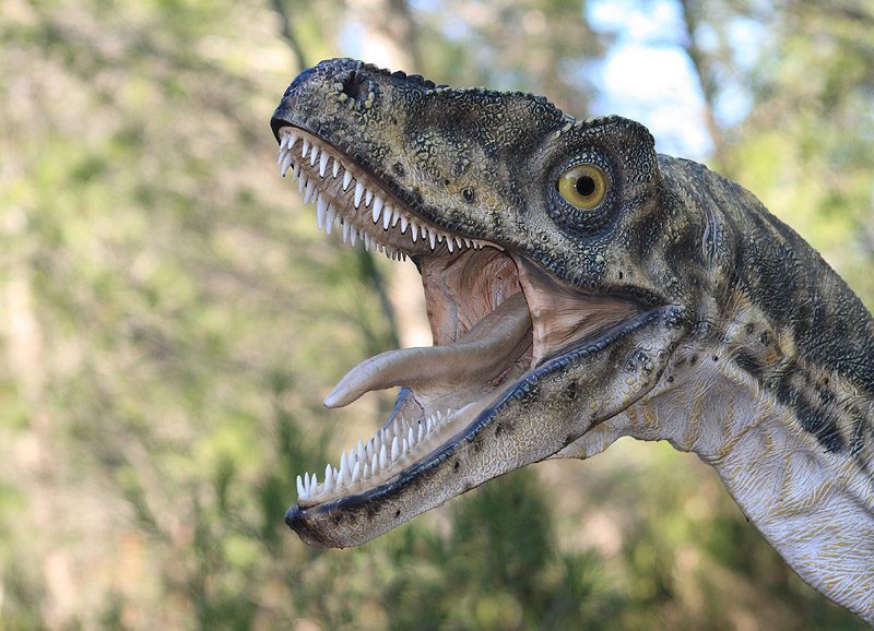 Parc des Dinosaures - Meze autour de Marseillan