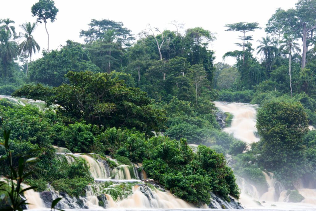 Paysage de forêt tropicale Gabon