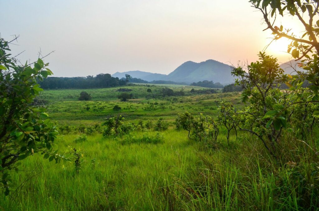 Paysage Gabon Le Parc national de la Lopé