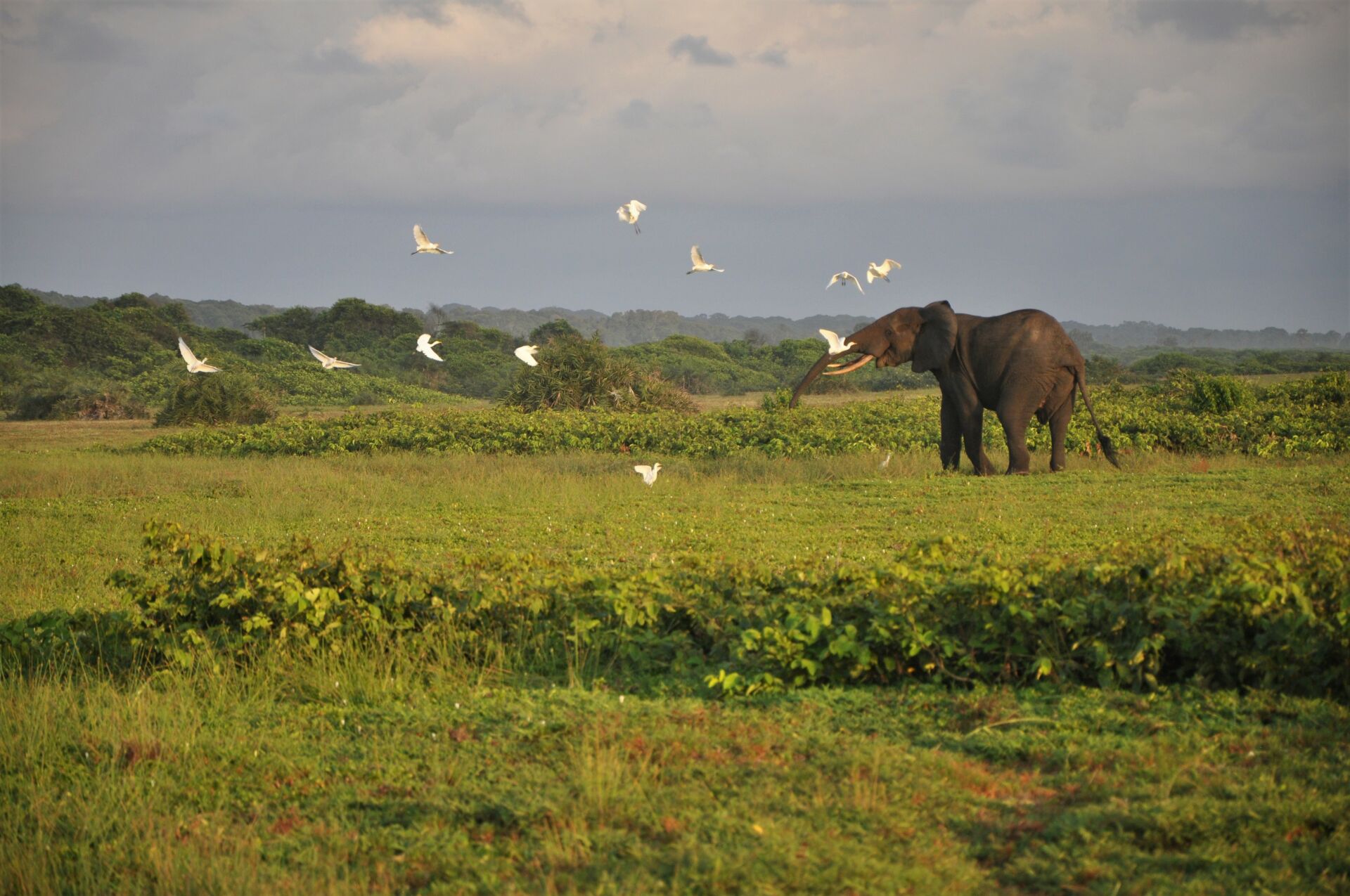 Paysages du Gabon