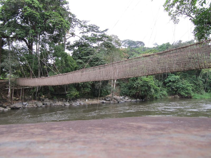 Pont-de-liane-poubara-gabon