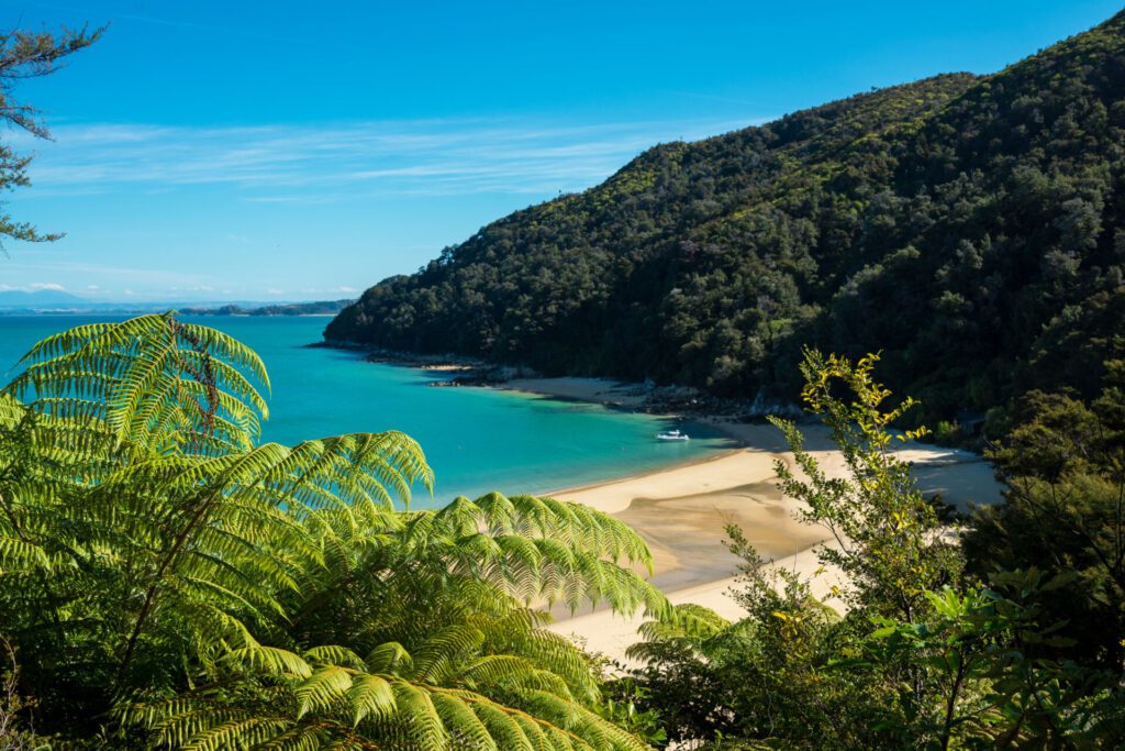 Abel Tasman National Park - paysage Nouvelle Zélande